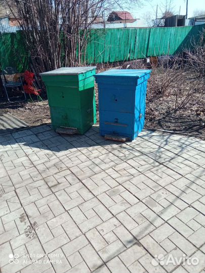 Продам ульи для пчел