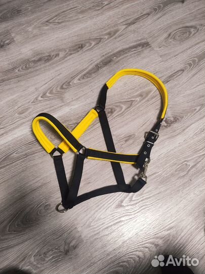 Недауздок для лошади