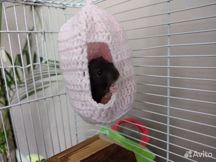 Гамак для грызунов