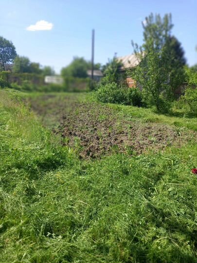 Дача 20 м² на участке 5 сот.