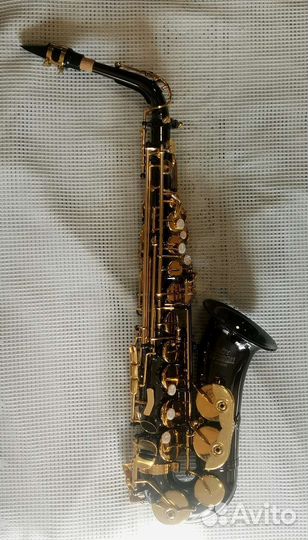 Альт саксофон Roy Benson AS-202K