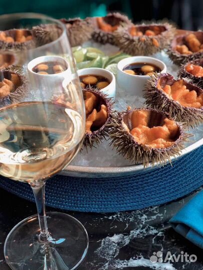 Морские прогулки на катере