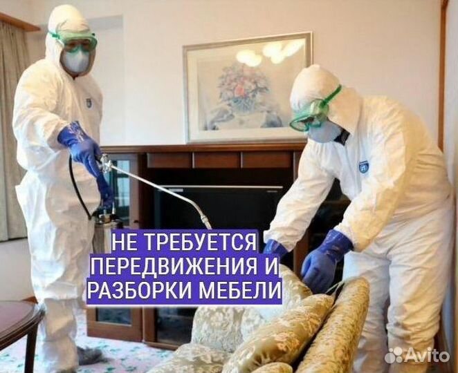 Уничтожение тараканов клопов Дезинфекция