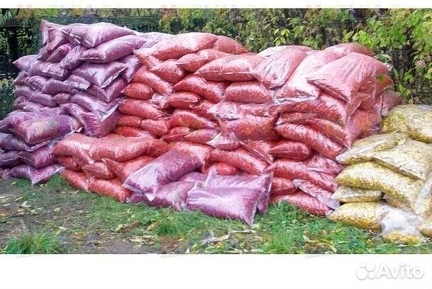 Кора лиственницы