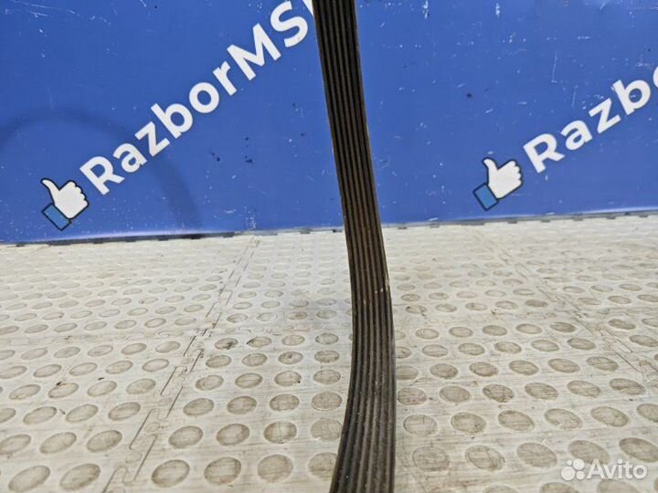 Ремень генератора Renault Arkana