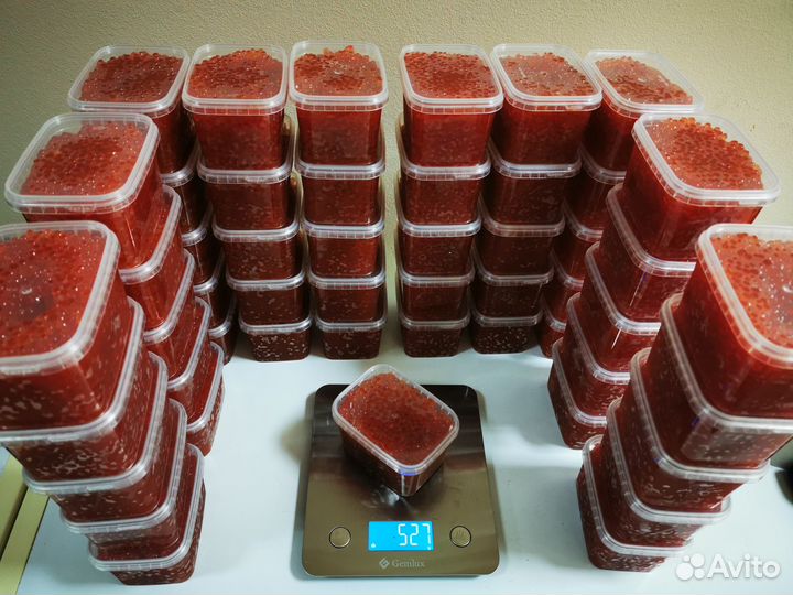 Красная икра кижуча