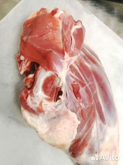 Мясо баранина свежая