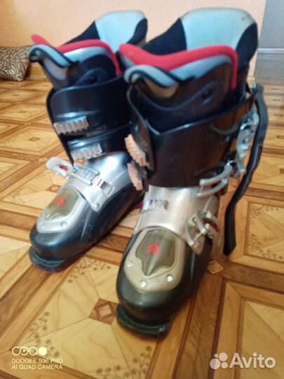 Горные лыжи