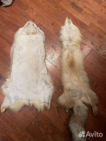 Шкуры лисы