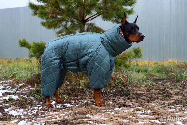 Зимний комбинезон для крупной собаки