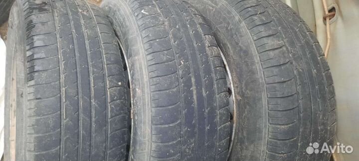 GT Radial Champiro VP1 185/75 R14