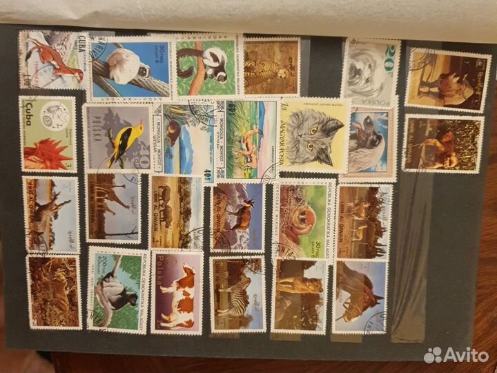 Почтовые марки альбом