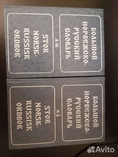 Большой норвежско-русский словарь в двух томах