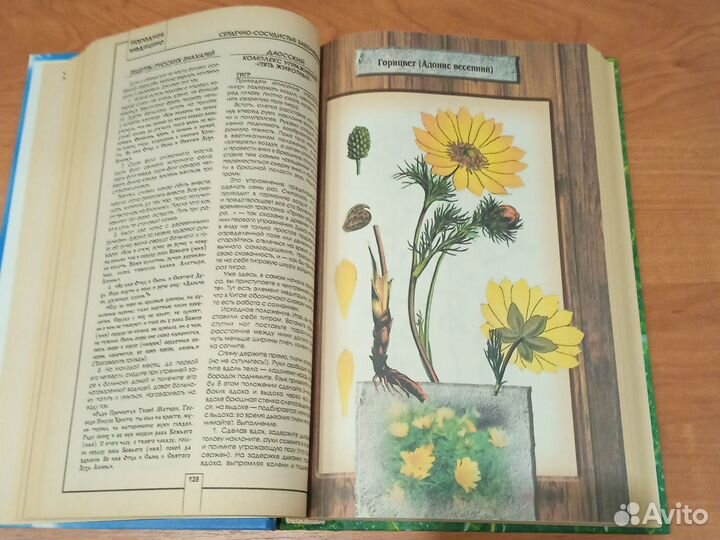 Народная медицина. А. Конев