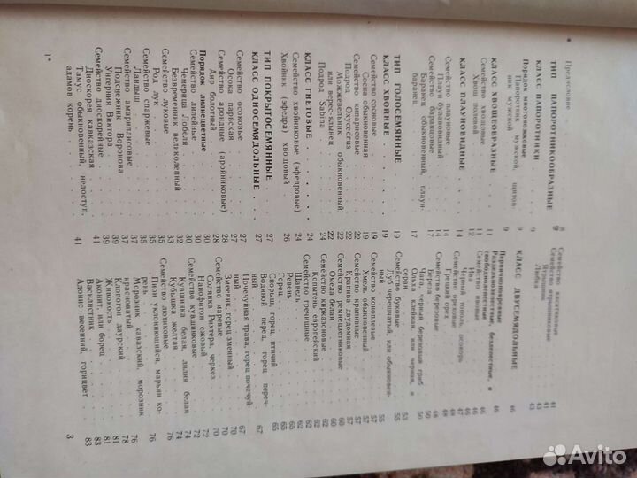 Дикорастущие лекарственные растения СССР