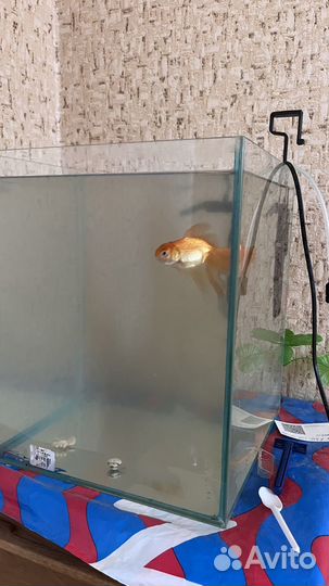 Аквариум с рыбкой 30 л