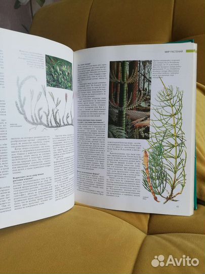 Книга Азбука природы