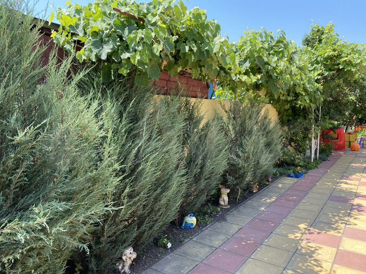 Дом 360 м² на участке 6 сот.