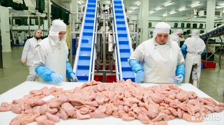 Разнорабочий Вахта