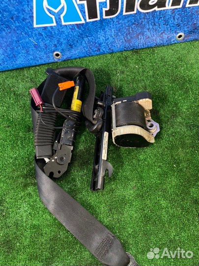 Ремень безопасности передний правый Ford Focus CB4