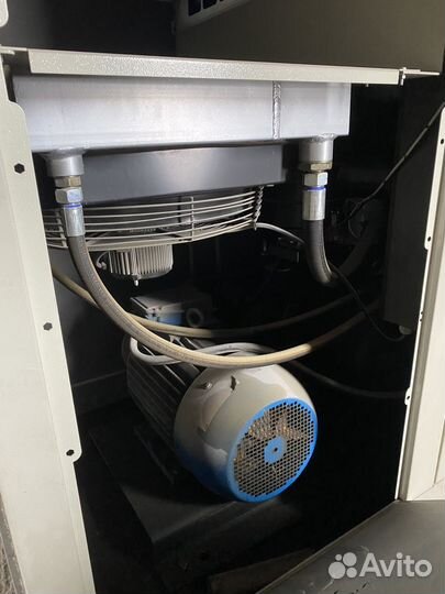 Винтовой компрессор дэн-30Ш оптим б/у