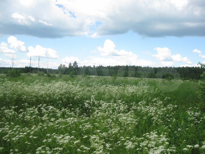 Участок 10 га (СНТ, ДНП)