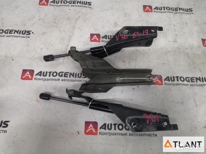 Петля капота передняя nissan skyline