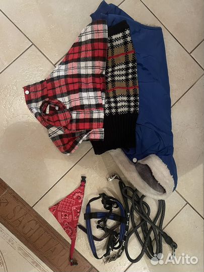Одежда для собак пакетом