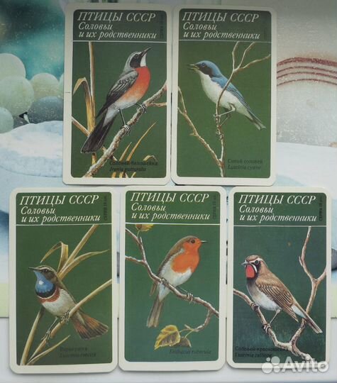 Календарики Флора фауна 85-93 гг