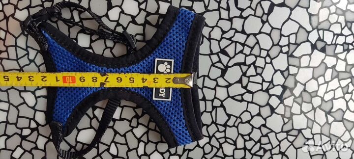 Одежда для собак