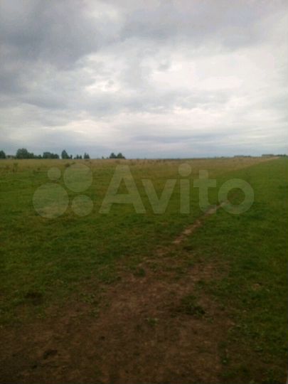 Участок 66 сот. (СНТ, ДНП)