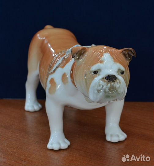 Фарфоровая статуэтка- английски бульдог. лфз. ифз
