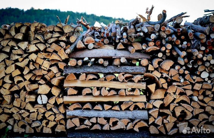 Дрова с Выборга