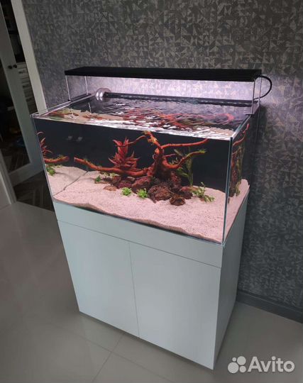 Аквариум 200рro