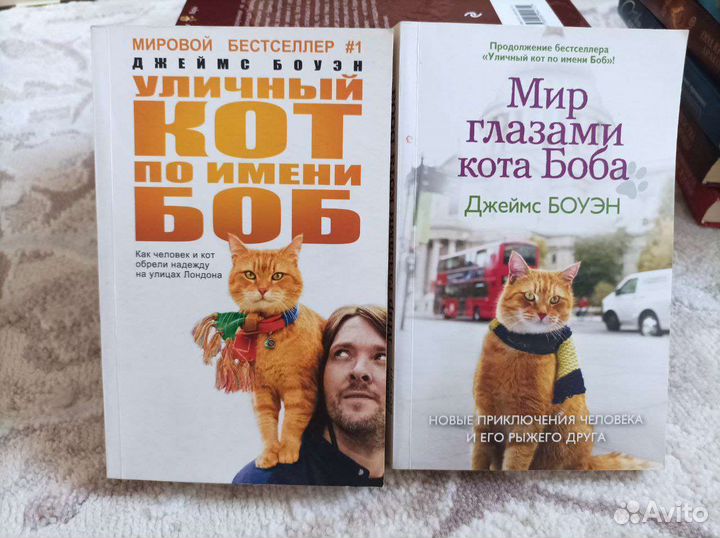 Уличный кот по имени Боб, Джеймс Боуэн