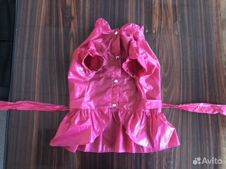 Одежда для собак