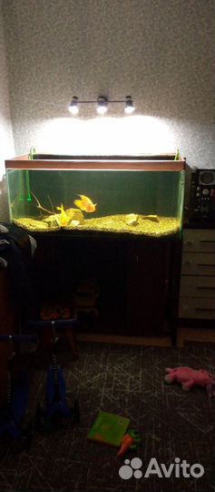 Аквариум