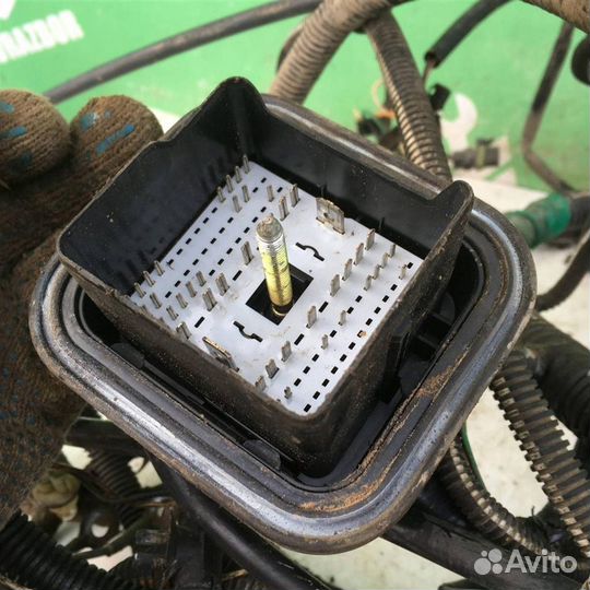 Проводка (коса) Рено Клио 2 Симбол