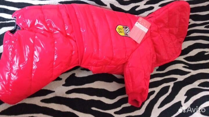 Одежда для собак