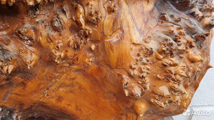 Полочка из белолистки