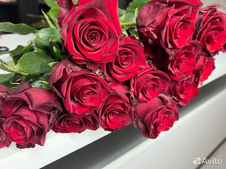 Свежие цветы от склада Доставка Смоленск