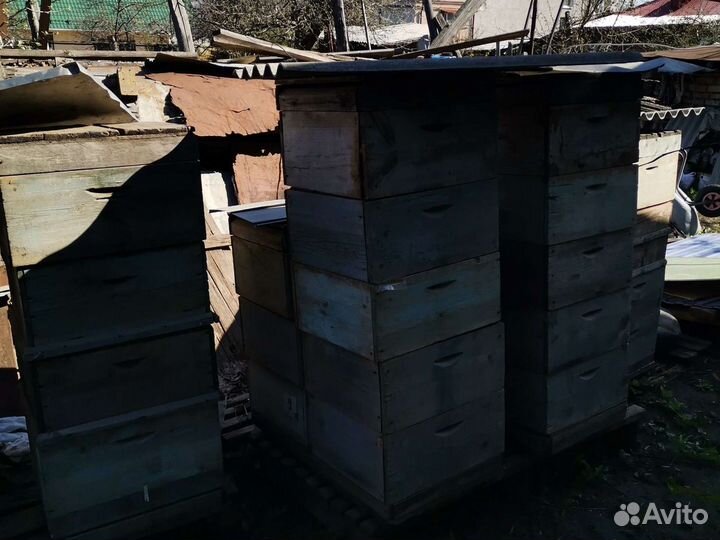 Все для разведения пчёл