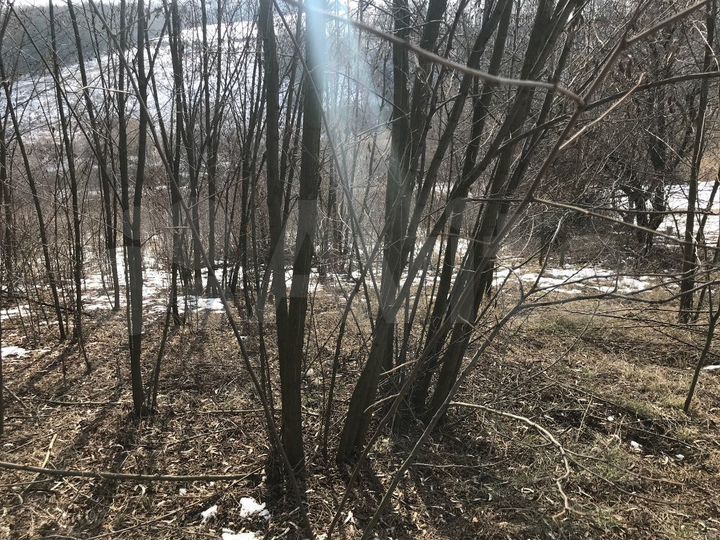 Участок 5 сот. (СНТ, ДНП)