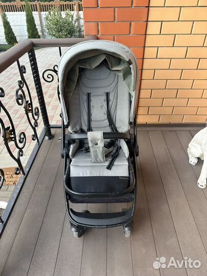 Коляска carello epica