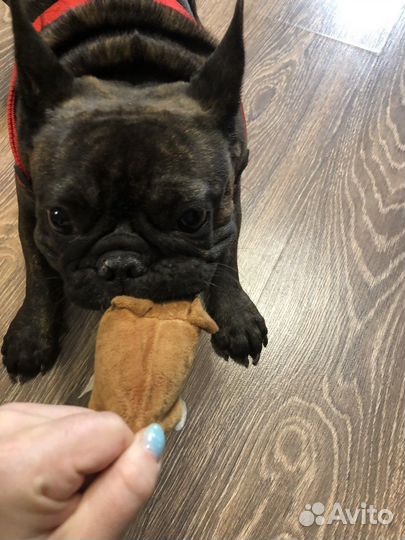 Передержка