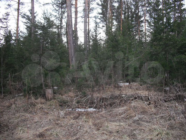 Участок 10 сот. (СНТ, ДНП)