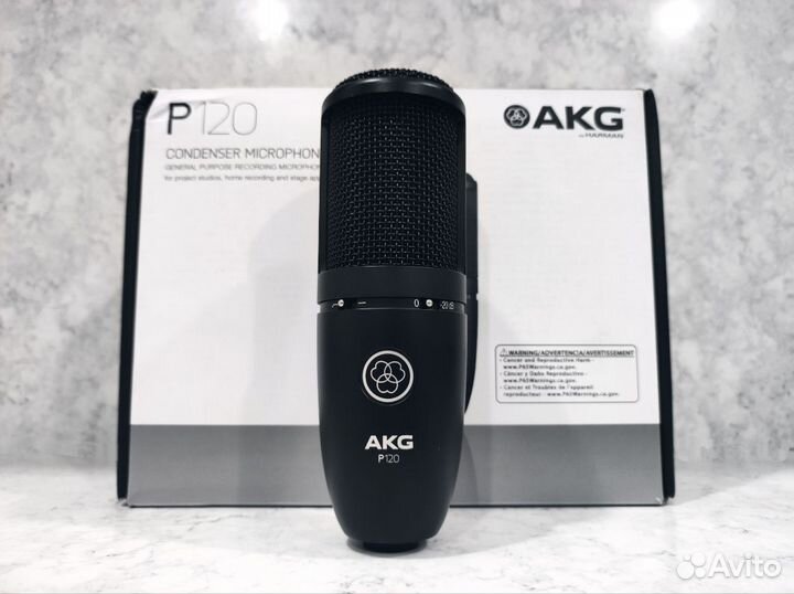 AKG P120