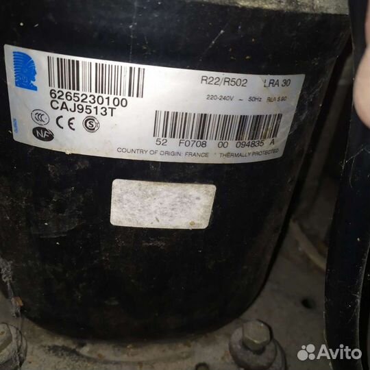 Компрессор Tecumseh CAJ9513t