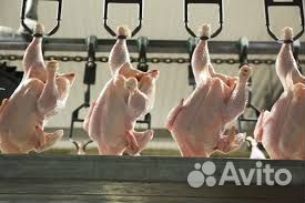 Обвальщик тушки птицы