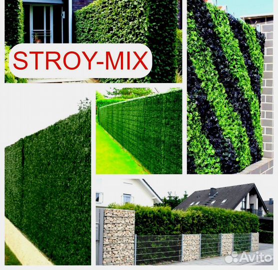 Калифорнийская изгородь